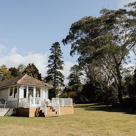 Mount Booralee Bed & Breakfast Blackheath Dış mekan fotoğraf